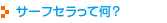 �T�[�t�Z�����ĉ��H
