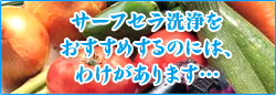 �T�[�t�Z�������������߂���̂ɂ͂킯������܂�