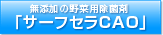 �T�[�t�Z��CAO